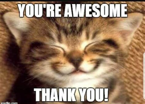 27 Shareable ‘you Are Awesome Memes Fairygodboss