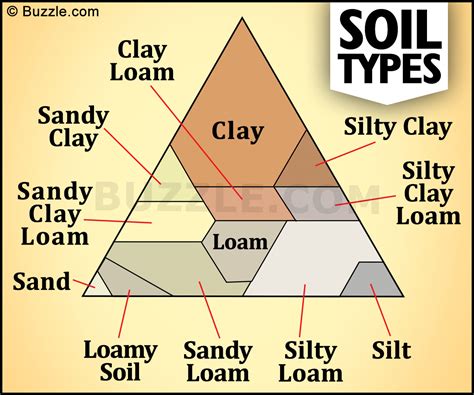 Types Of Soil Classification SexiezPix Web Porn