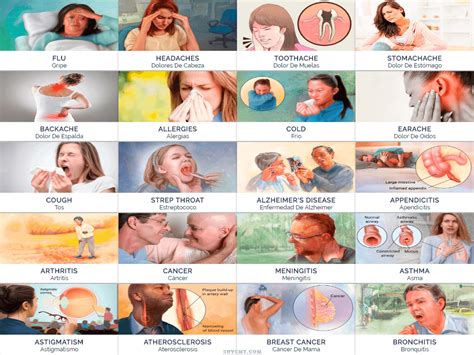 Listas de Enfermedades en Ingles y Español con sus Imágenes Health problems English Disease