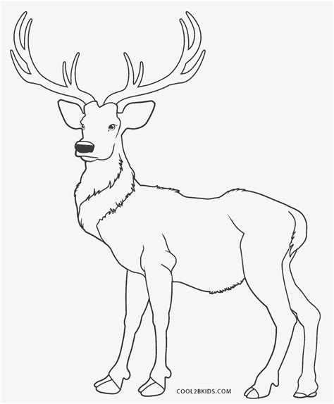 You can use our images for unlimited commercial purpose without asking permission. Free Printable Reindeer Coloring Pages For Kids