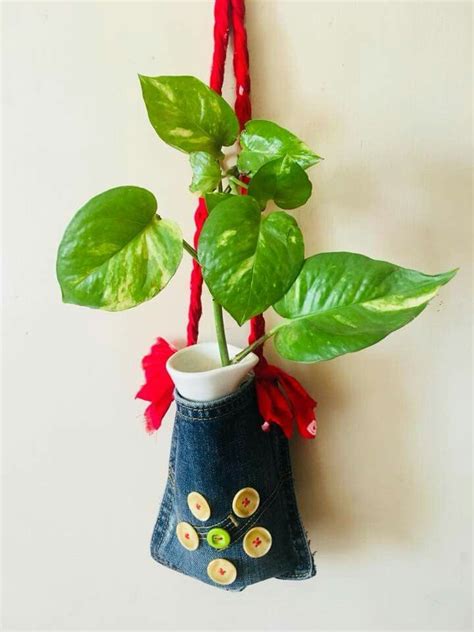 A Potted Plant Hanging On A Wall With Buttons And Leaves Attached To