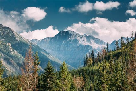 Tatra National Park Poland Summer Mountains And Forest Landsca Stock