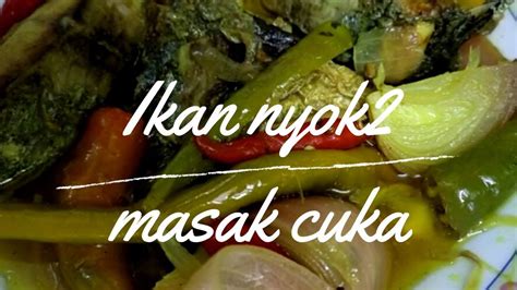 Ikan Nyok Nyok Masak Cuka Paling Mudah Youtube