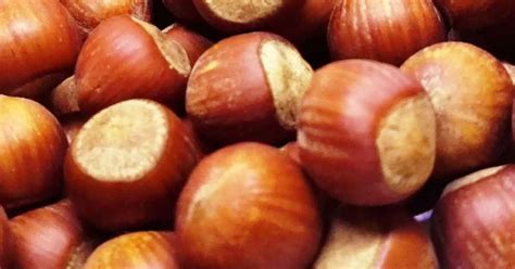 Rüyada Fındık Görmek, Toplamak, Yemek, Ne Anlama Gelir? - Diyadinnet