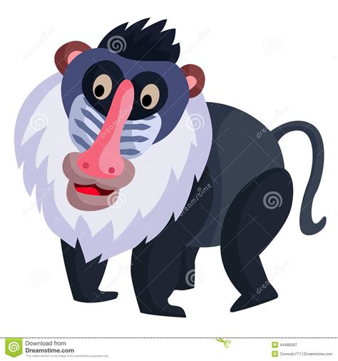 Baboon Clipart And Look At Clip Art Images Clipartlook
