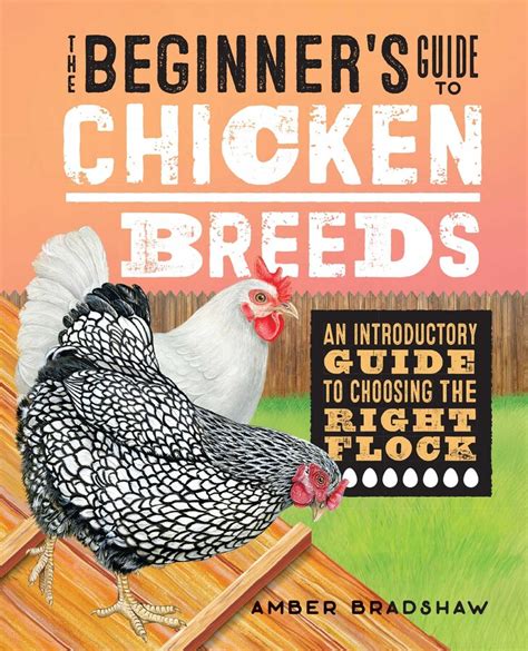 The Beginners Guide To Chicken Breeds Book By Amber Bradshaw