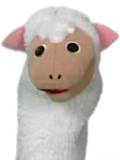 Julie The Sheep Ultimate Baby Einstein Wiki Fandom