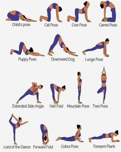 A Woman Doing Different Yoga Poses For Her Body