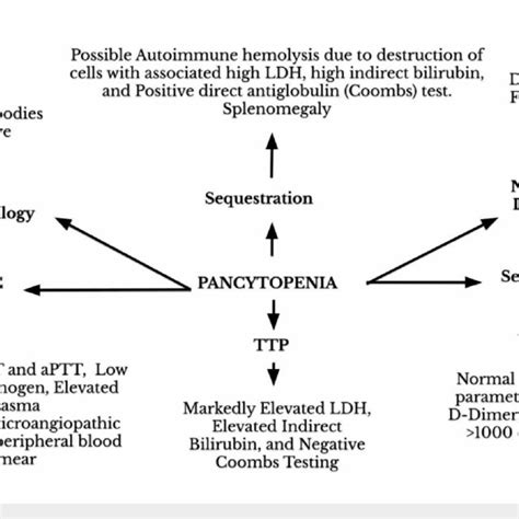 PDF Trimethoprim Sulfamethoxazole Induced Pancytopenia A Common