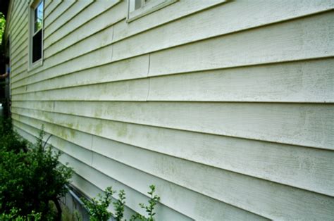 Mold Busters Or How To Clean Vinyl Siding Rhapsody In Rooms