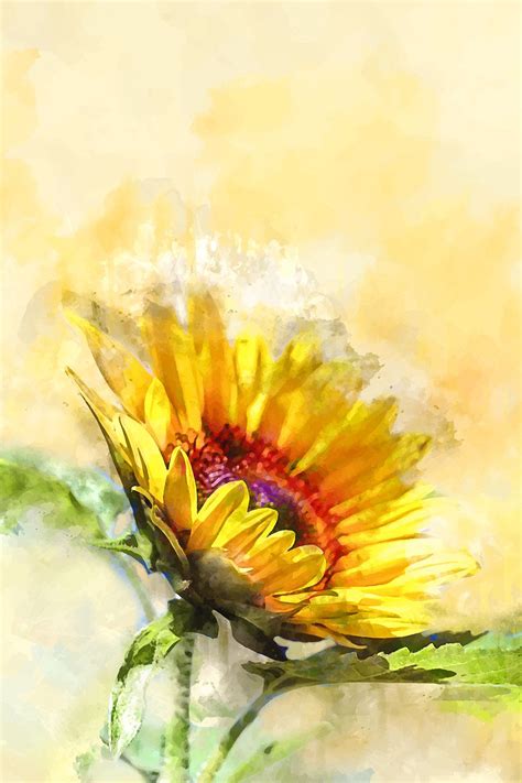 Blossom Sunny Art Print By Creativeaxle At Society6 Watercolor