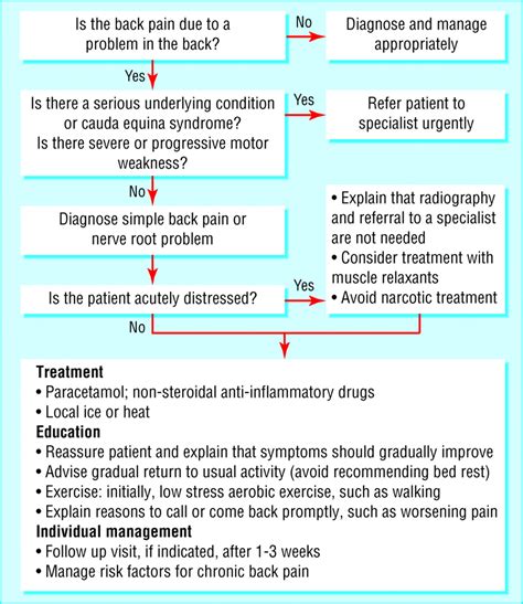 Acute Low Back Pain The Bmj