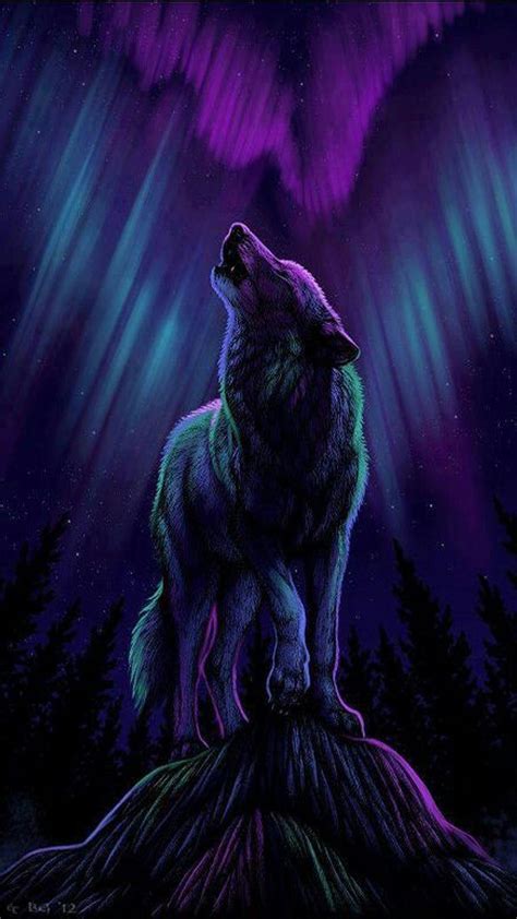 Galaxy Wolf Wallpapers Top Free Galaxy Wolf Backgrounds Wallpaperaccess