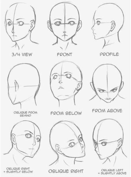 Head Figure In Different Positionsdirections Drawings Drawing