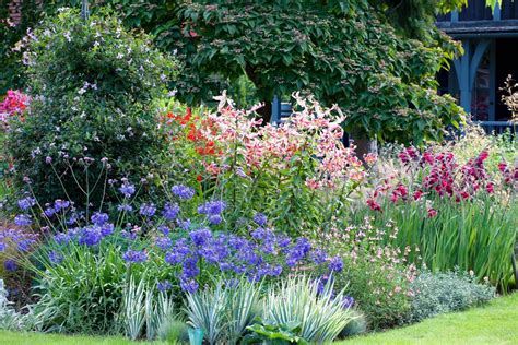 Climbing vines, such as clematis, wisteria and honeysuckle; Best cottage garden plants: our top flowers for romantic ...