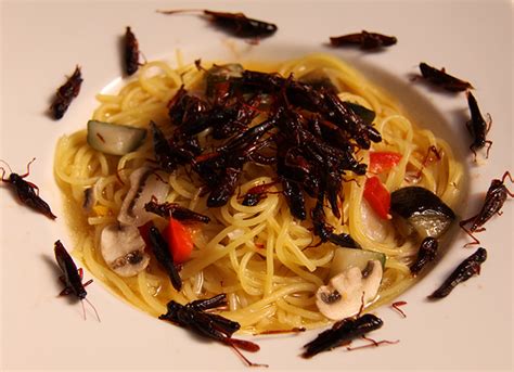 The number one reason for the terrible triad is insulin resistance. The Insect Diet