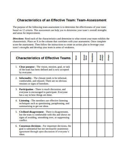 Free 10 Team Assessment Samples In Pdf Ms Word