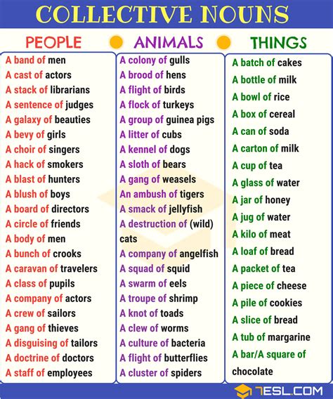 A List Of Collective Nouns In English Pdf Definition And Infographics