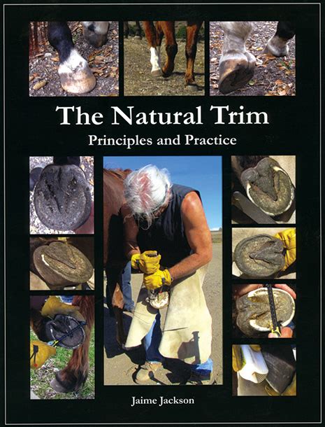 Natural Hoof Care Book Is Critical Of Farrier Practices American