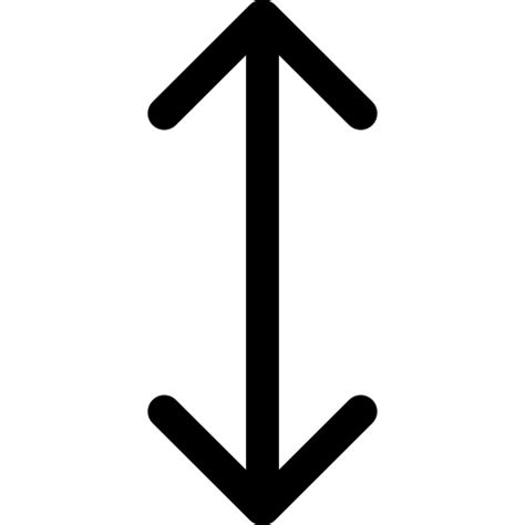 Double Arrow Vertical Symbol Catalin Fertu Lineal Icon