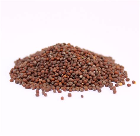Brown Mustard Seed Advanced Spice