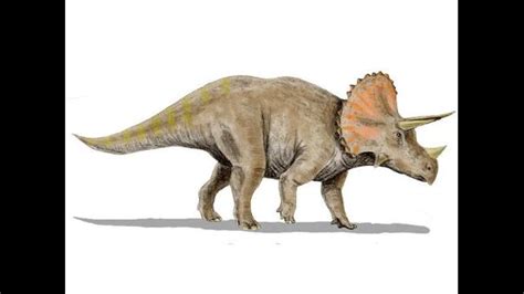 Los mayores de ellos fueron los animales más gigantescos que jamás existieran sobre la tierra. Descubren al último dinosaurio que vivió en la Tierra ...