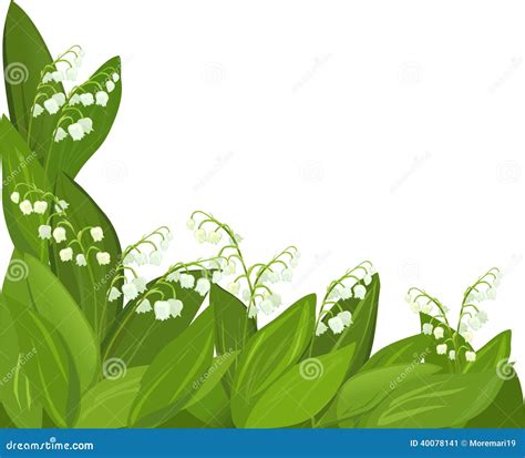 Background Flower Lily Of The Valley Stock Vector Illustration Of