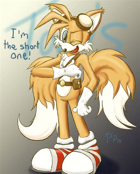 A Brand New Tails By Punk Pegasus On Deviantart