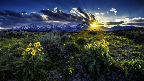 Grand Teton National Park Meadow Rocky Mountains During Sunrise In