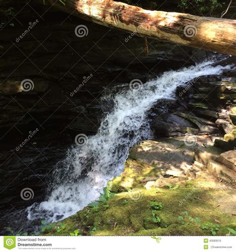 Rushing Waterfall Editorial Image Image Of Stream Nature 43583510