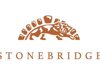 Stone Bridge | Colorful logo design, Stone bridge, Bridge logo