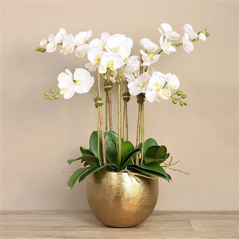 Vivian Rose Orchid Floral Arrangement In Vase Wayfair Silk Orchids