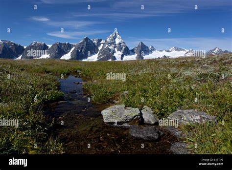 Alpine Stream And Mount Sir Donald Glacier National Park British