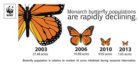 Monarch Butterflies Keep Disappearing Heres Why The Washington Post
