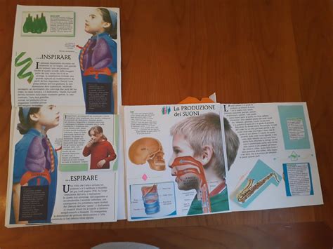 Voceesilenzio Homeschooling Lapbook Lapparato Respiratorio 3