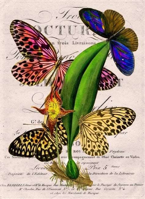 Items Similar To Botanical Butterfly Art Print On Etsy