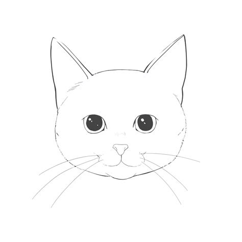 Cómo Dibujar Un Gato Primera Parte Medibang Paint
