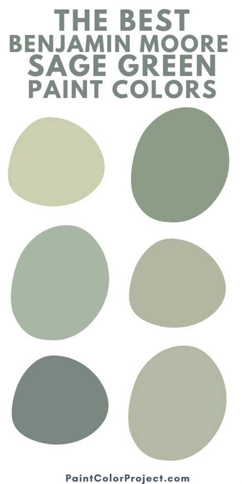The 6 Best Benjamin Moore Sage Green Paint Colors The Paint Color Project