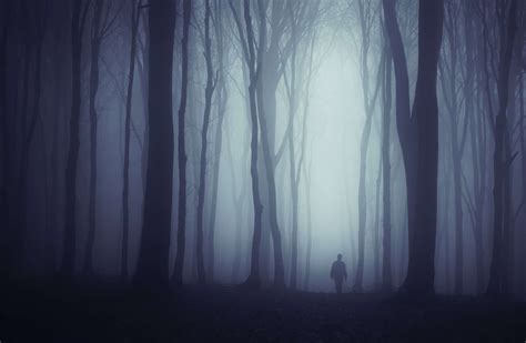 Spooky Dark Forest With Mysterious Man Walking On A Path • Frank Morin