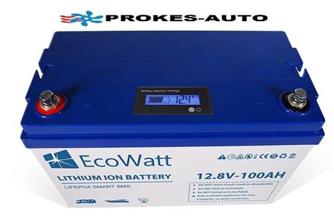 Batterie Ecowatt Lifepo4 128v 100ah 1280wh Mit Integriertem Bms Und