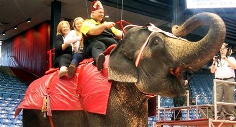 Elephant Rides At The Antioch Shrine Circus Dayton Local Photos Video