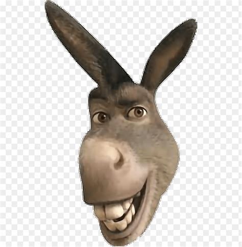 Free Download Hd Png Sticker Donkeyface Freetoedit Report Donkey From