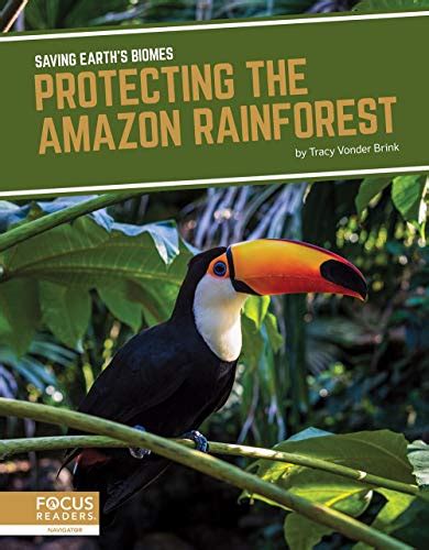 Protecting The Amazon Rainforest Saving Earths Biomes Wantitall