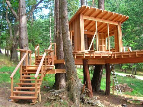 15 Building A Tree House Designs Images Tree Housesimple Plans For