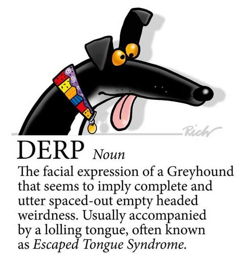 Derp By Richard Skipworth Greyhounds Funny Grey Hound Dog Greyhound