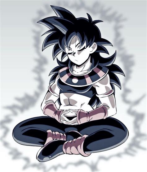 The saiyans have become dragon ball's most popular fighters, but the franchise focuses on the efforts of male saiyans, never the women. Pin by Aadarsh on Favoritos meus | Anime dragon ball super ...