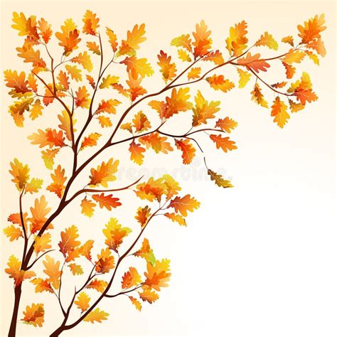 Autumn Tree Branch Stock Vector Illustration Of Design 20815664