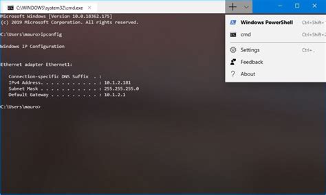Windows Terminal For Windows 10 Now In The Microsoft Store Pureinfotech