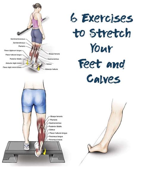 Exercises To Stretch Your Toes Ankles Soleus And Gastrocnemius
