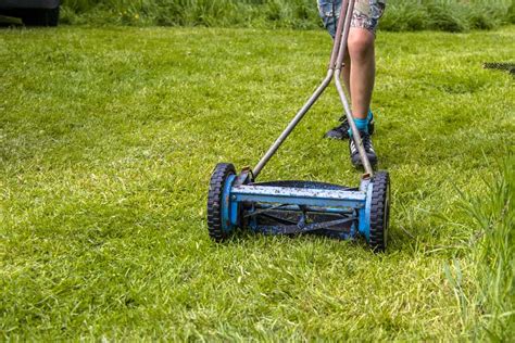How To Cut Tall Grass With A Reel Mower Obsessed Lawn